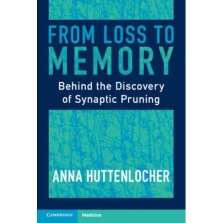 From Loss to Memory: Behind the Discovery of Synaptic Pruning