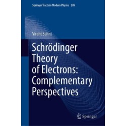 Schrodinger Theory of Electrons: Complementary Perspectives
