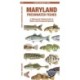 Maryland Freshwater Fishes: A Folding Guide to Native and Introduced Species