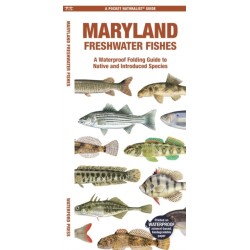 Maryland Freshwater Fishes: A Folding Guide to Native and Introduced Species