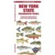 New York State Freshwater Fishes: A Folding Guide to Native and Introduced Species