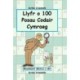 Llyfr o 100 o Posau Codair Cymraeg: Mwynhewch ddatrys y cod