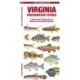 Virginia Freshwater Fishes: A Folding Guide to Native and Introduced Species