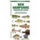 New Hampshire Freshwater Fishes: A Folding Guide to Native and Introduced Species