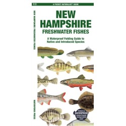 New Hampshire Freshwater Fishes: A Folding Guide to Native and Introduced Species