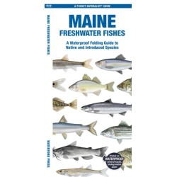 Maine Freshwater Fishes: A Folding Guide to Native and Introduced Species