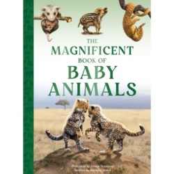 The Magnificent Book of Baby Animals