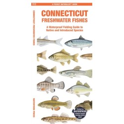 Connecticut Freshwater Fishes: A Folding Guide to Native and Introduced Species
