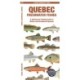 Quebec Freshwater Fishes: A Folding Guide to Native and Introduced Species