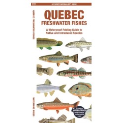 Quebec Freshwater Fishes: A Folding Guide to Native and Introduced Species