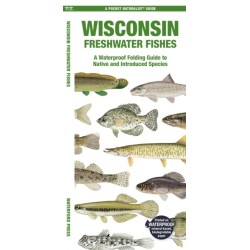 Wisconsin Freshwater Fishes: A Folding Guide to Native and Introduced Species