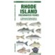 Rhode Island Freshwater Fishes: A Folding Guide to Native and Introduced Species