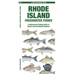 Rhode Island Freshwater Fishes: A Folding Guide to Native and Introduced Species