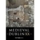 Medieval Dublin XX