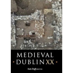 Medieval Dublin XX