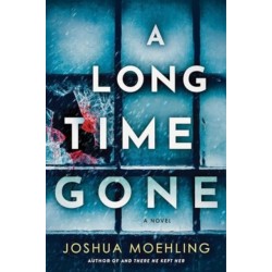 A Long Time Gone: A Novel