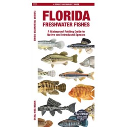 Florida Freshwater Fishes: A Folding Guide to Native and Introduced Species