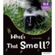 Essential Letters and Sounds: Essential Phonic Readers: Oxford Reading Level 5: What's That Smell?