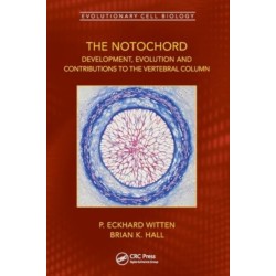 The Notochord: Development, Evolution and contributions to the vertebral column
