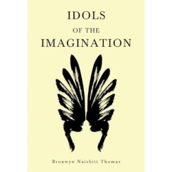 Idols of the Imagination