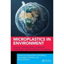 Microplastics in Environment: Source, Potential Risks, Analytical Challenges, and Remediation Strategies