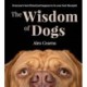The Wisdom Of Dogs: The adorable and funny new book from the photographer behind the bestselling QUOKKA'S GUIDE TO HAPPINESS and ZEN DOGS: The adorable and funny new book from the photographer behind the bestselling QUOKKA'S GUIDE TO HAPPINESS and ZEN DOG