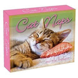 CAT NAPS