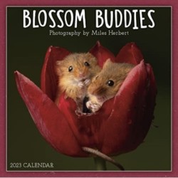 BLOSSOM BUDDIES