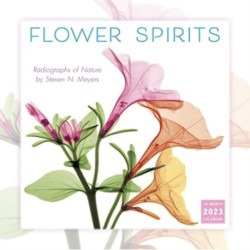 FLOWER SPIRITS