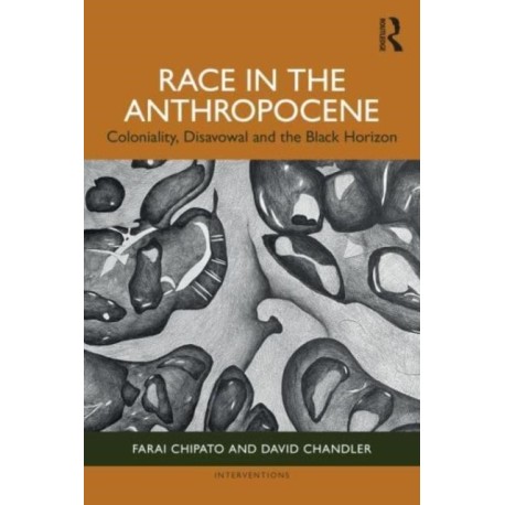 Race in the Anthropocene: Coloniality, Disavowal and the Black Horizon