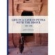 Life in a Cave in Petra with the Bdoul: 1981-1986