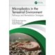 Microplastics in the Terrestrial Environment: Pathways and Remediation Strategies