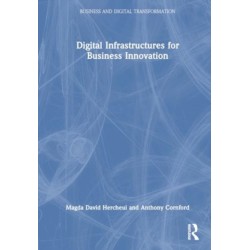Digital Infrastructures for Business Innovation