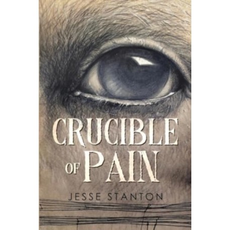 Crucible of Pain