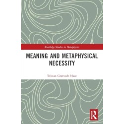 Meaning and Metaphysical Necessity