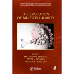 The Evolution of Multicellularity