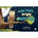 Old Owl's Bright Night Light