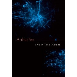 Into the Hush