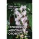 Exploring Medicinal Orchids