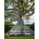 The Young Man and the Tree: Fernando Wong Landscape Design