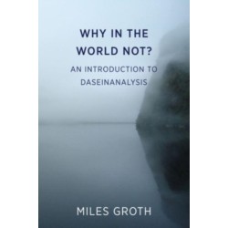 Why in the world not?: An Introduction to Daseinanalysis