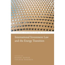 International Investment Law and the Energy Transition