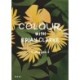 Colour with Brian Clarke: Collages 2