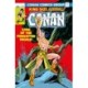 Conan The Barbarian: The Original Comics Omnibus Vol.5