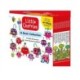 The Little Cherries 12 Book Collection (Books 1-12)