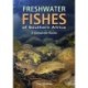 Freshwater Fishes of Southern Africa: A Complete Guide