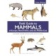 Field Guide to Mammals of Europe, North Africa and the Middle East: Third Edition