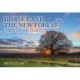 Dorset and the New Forest Through the Year