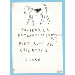 Please Look in the Basement