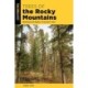 Trees of the Rocky Mountains: Identifying the Region's Prominent Trees